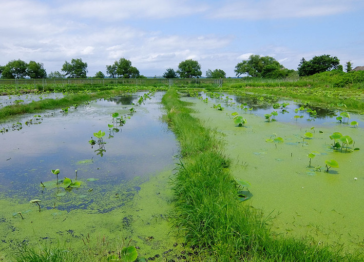 ファストラン10