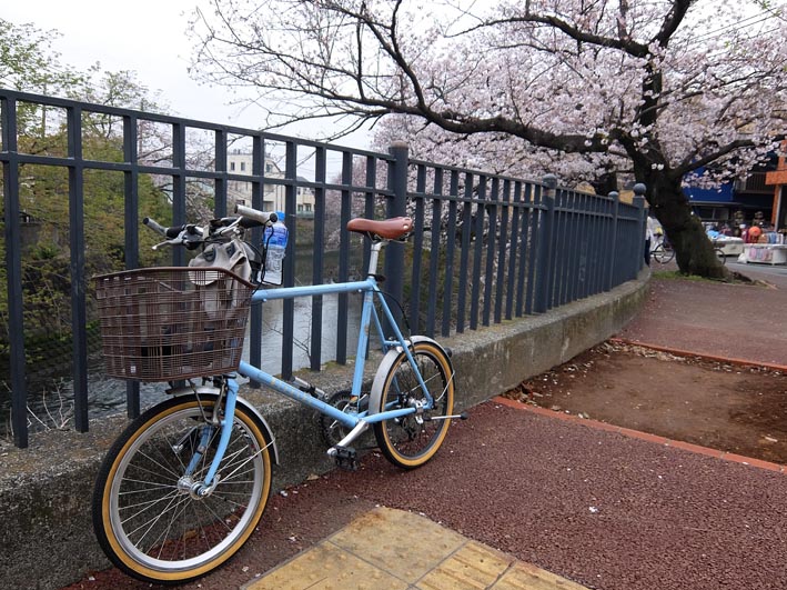 写真4