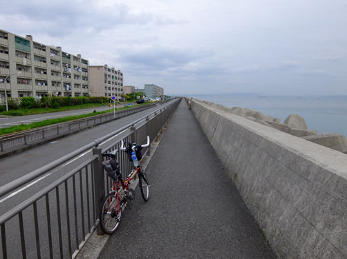 イメージ 17