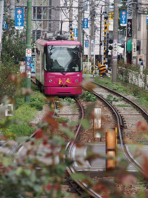 イメージ 5