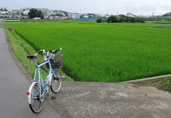写真4