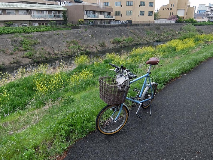 3回目のワクチン接種、ポタのち雨