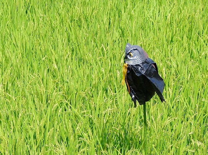 守り4
