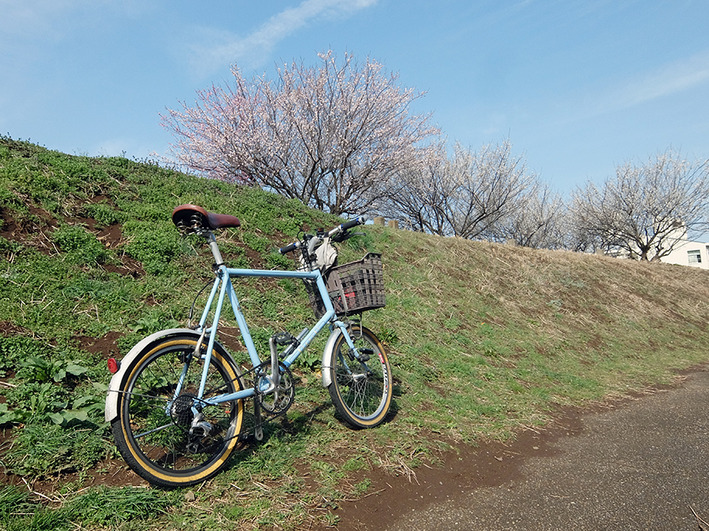 真面目に確定申告!?  やってられるか（怒）