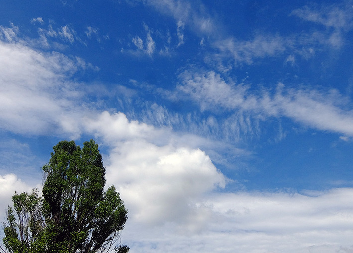 秋晴れポタリング♪  しかし大雨に……
