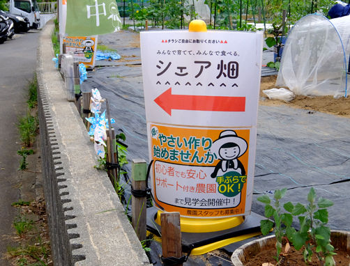 イメージ 4