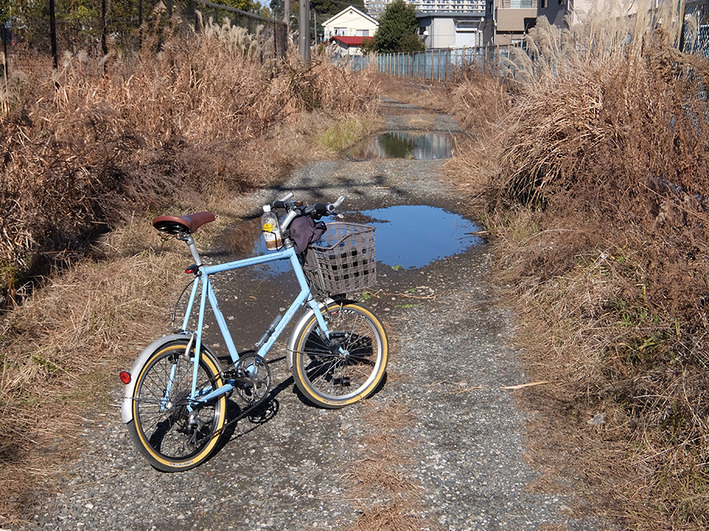 ビアンキの里帰りもセオサイクル休みでした!!