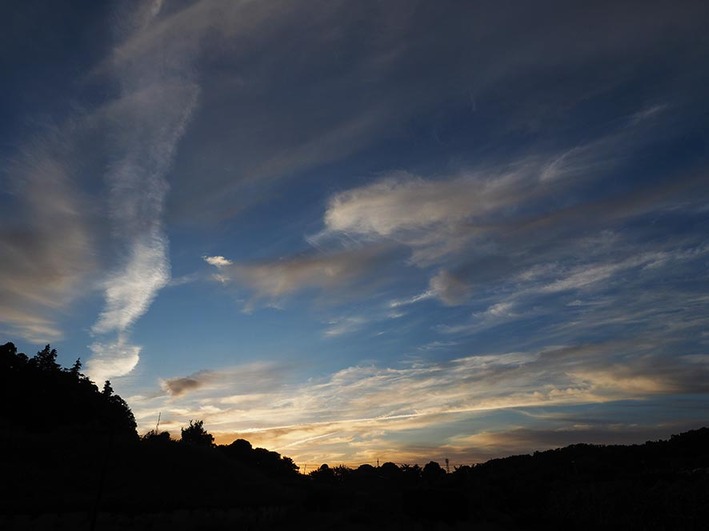 半額以下のうな重と変わった通勤自転車!!