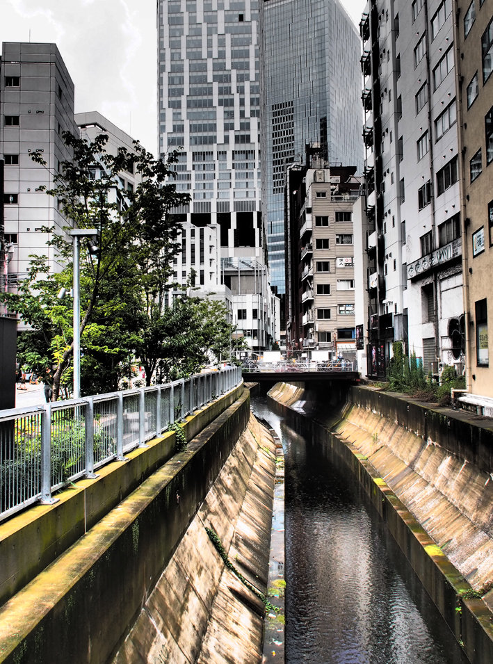 写真2