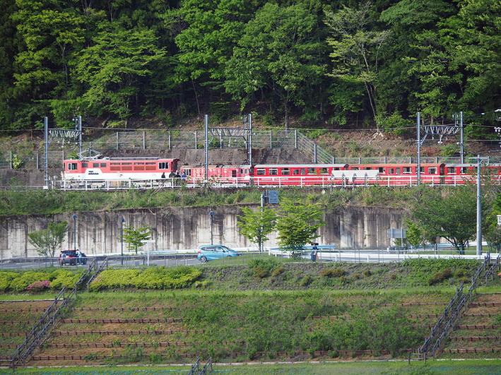 千頭41