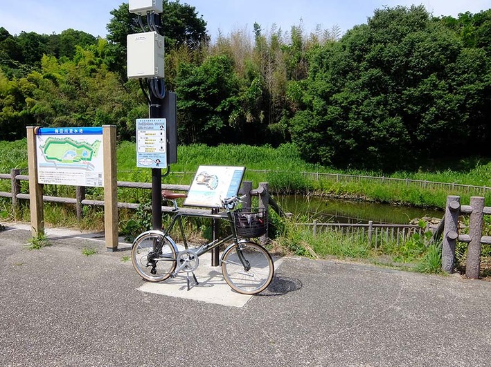 梅雨は何処へ!?  晴天ご近所ポタ