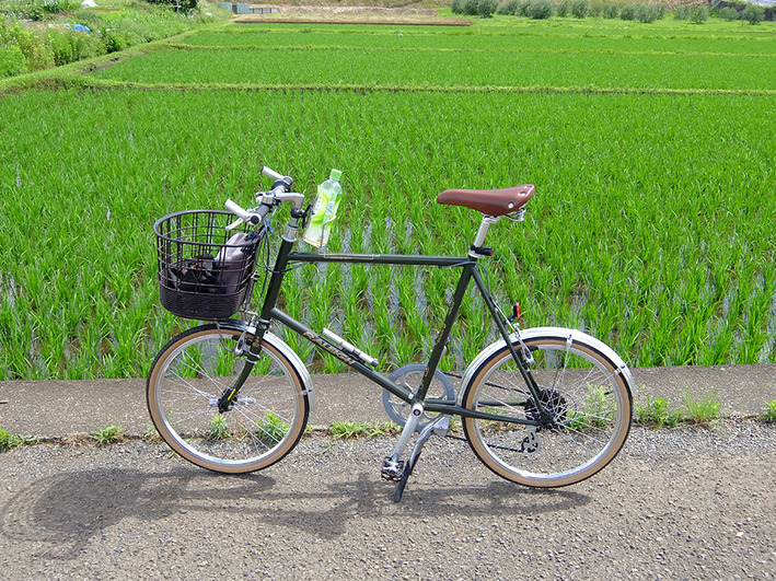 癒しの田圃サイクリング♪
