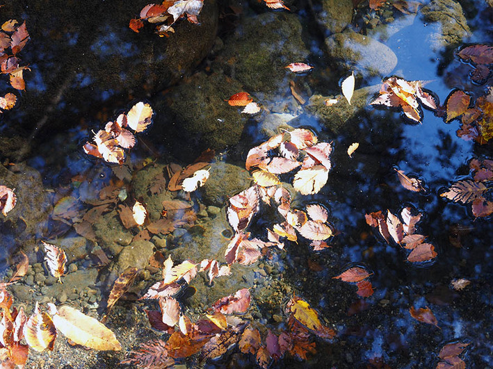 人生初の救急車での搬送（汗）