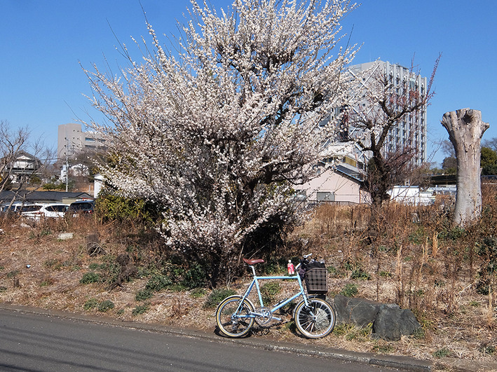 キャンピングカーと中古ロードバイク