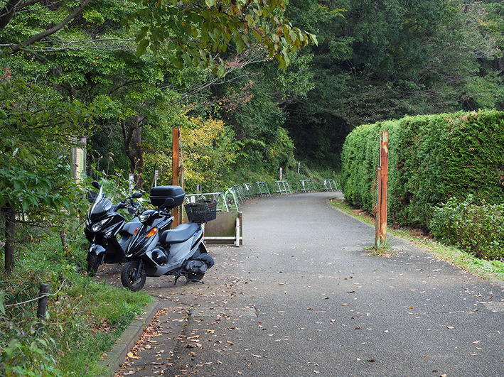 リコールですか!?