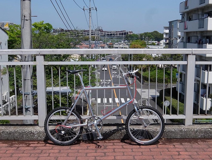 ステム6