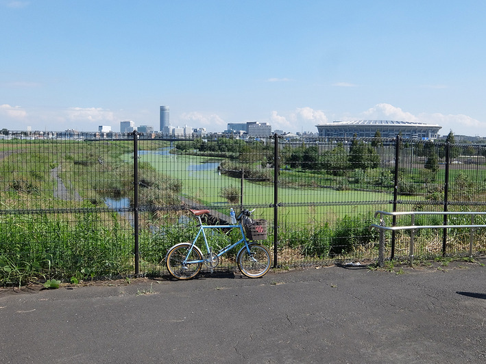 晴れたので鶴見川ポタリング♪