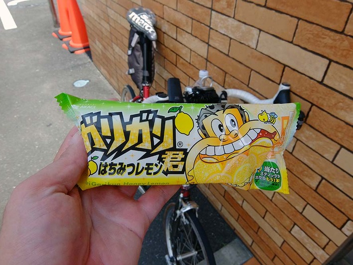 多摩川・入間川CR  水辺サイクリング