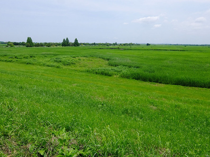 ファストラン26