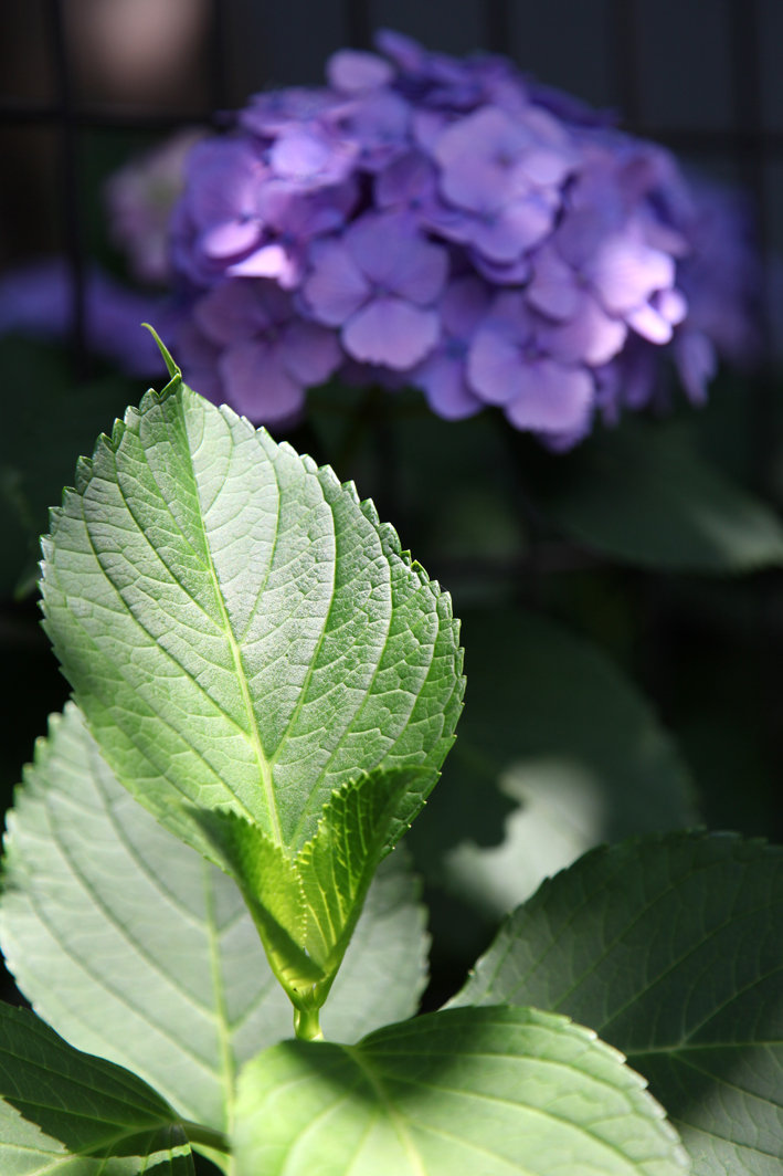 写真6