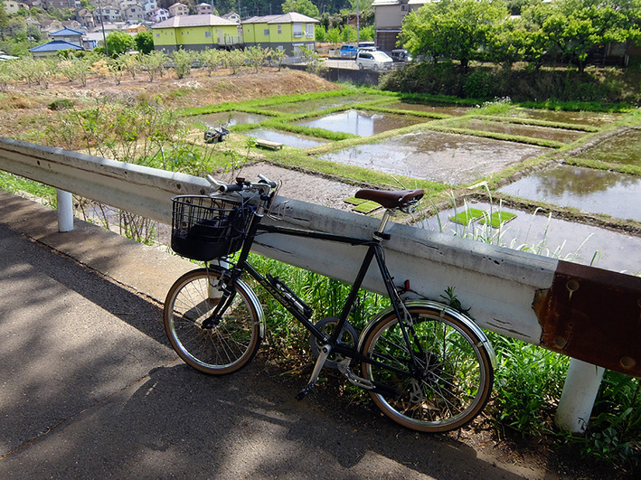 選択肢のないハチサンタイヤと二重の虹♪