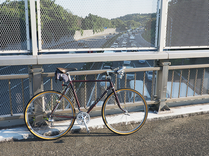 久しぶりの山サイ　栃谷・十一曲り