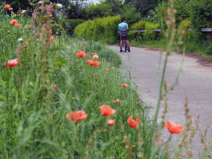 近隣親子ポタリングと子カマキリの誕生♪