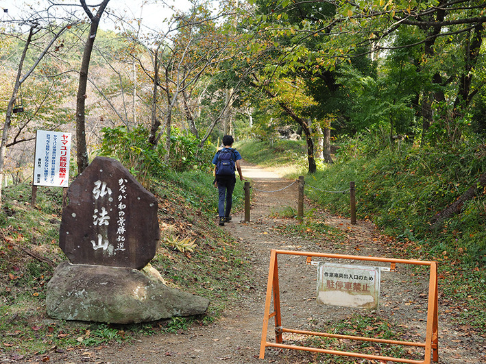 山歩き11