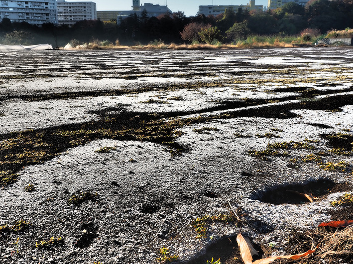 今度はビアンキロードの半額!!  でもたっけぇ!!!!