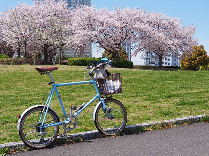 最強の花見サイクリング!!