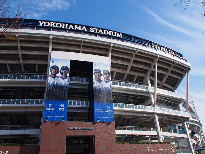 写真501