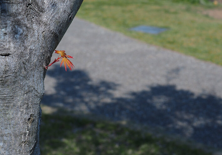 写真4