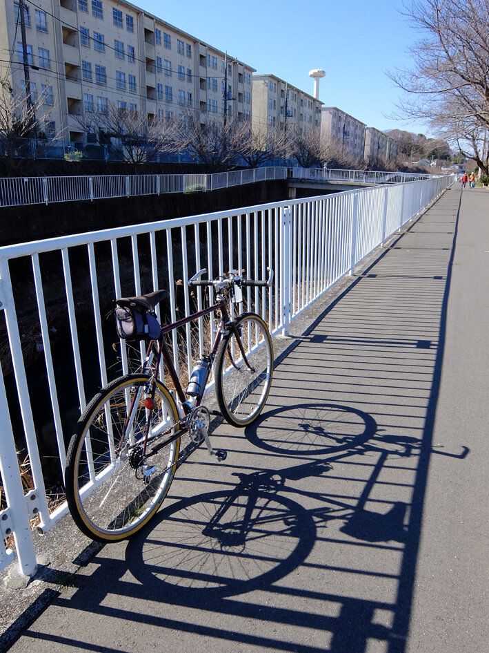 写真1