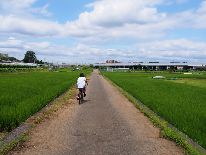 写真3