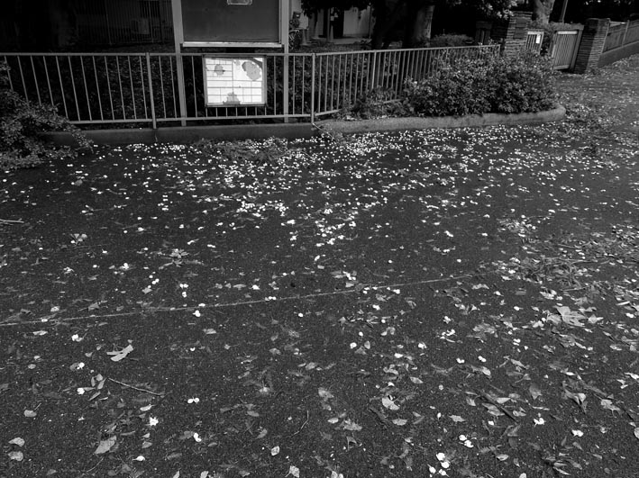 写真3