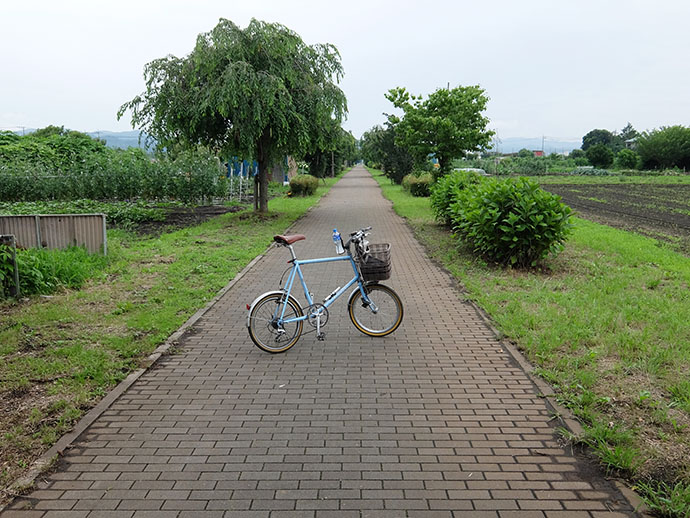 写真5