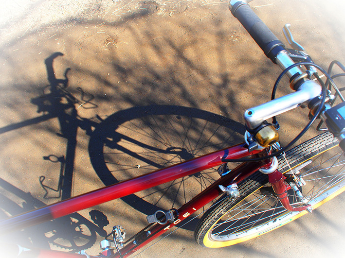 パスハンターのカンパホイール　ゴシゴシ綺麗に!!