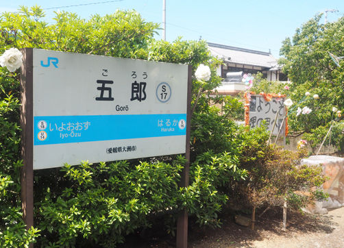 イメージ 7