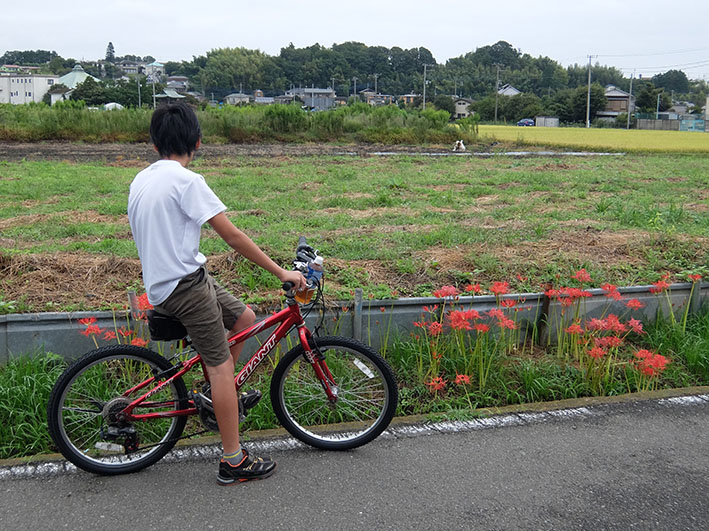 写真5