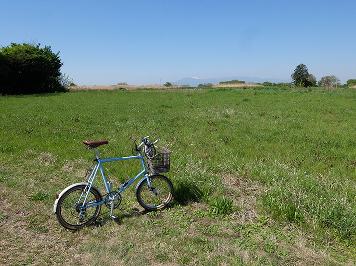 キャンピングカー増えてるよね!!