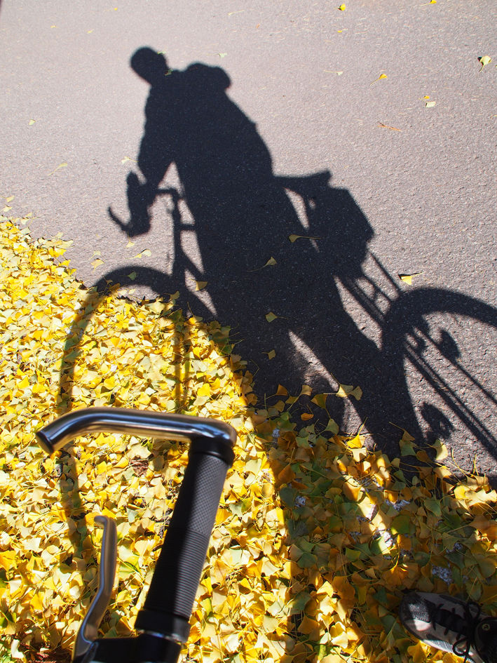 紅葉の南会津サイクリング　1日目