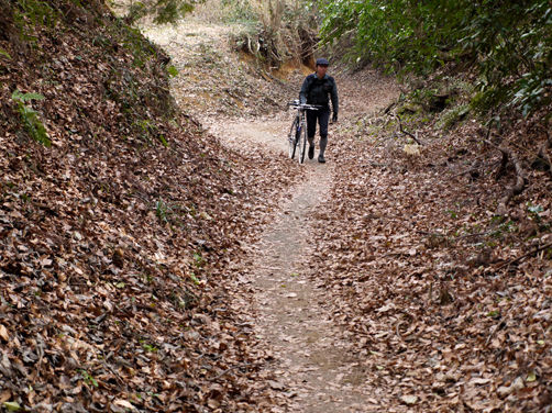 スローな走りだから見えて来るもの