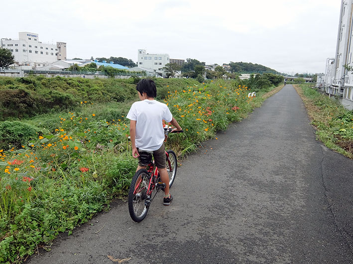 写真8