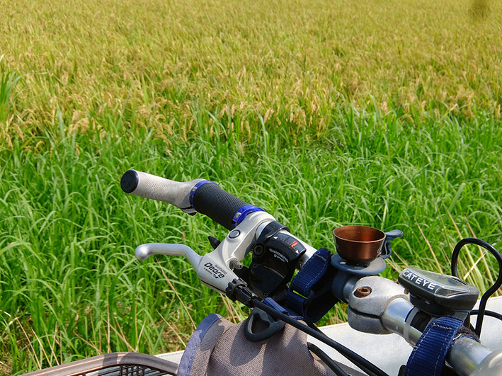 韓国でノーブレーキピストがブーム!?