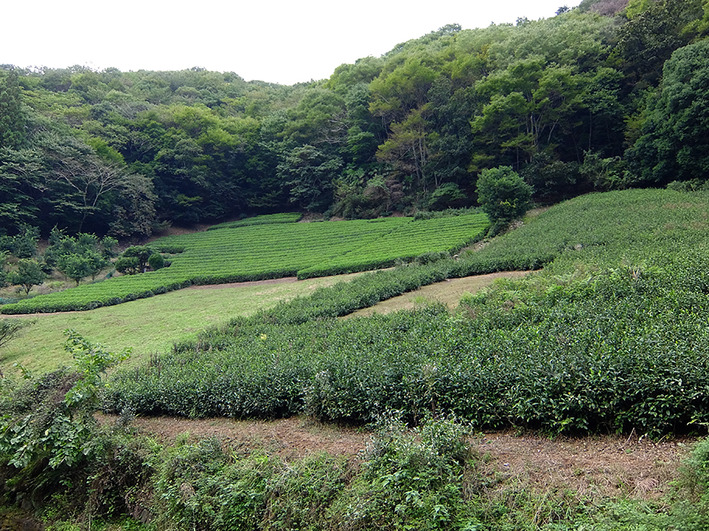和田峠13
