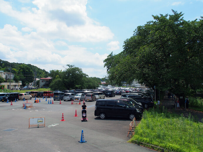 写真6