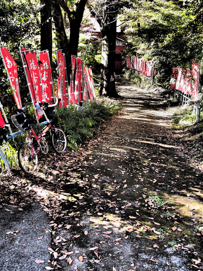 写真18
