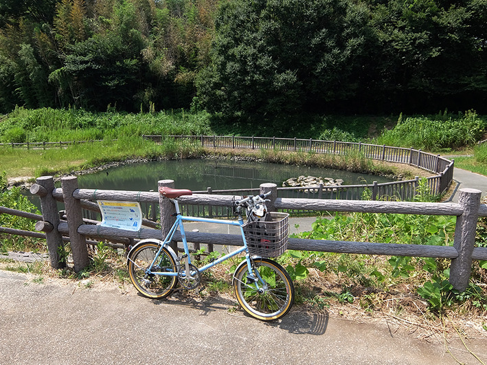 電動アシスト自転車のアレがない!!