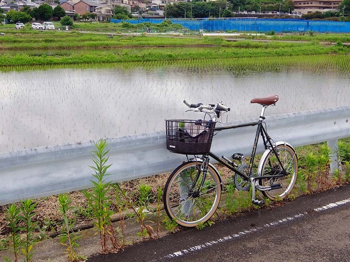 危険な自転車専用道と雨中ポタ