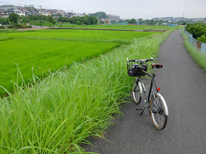 安物の宿命!?  チェンリングボルト錆びる